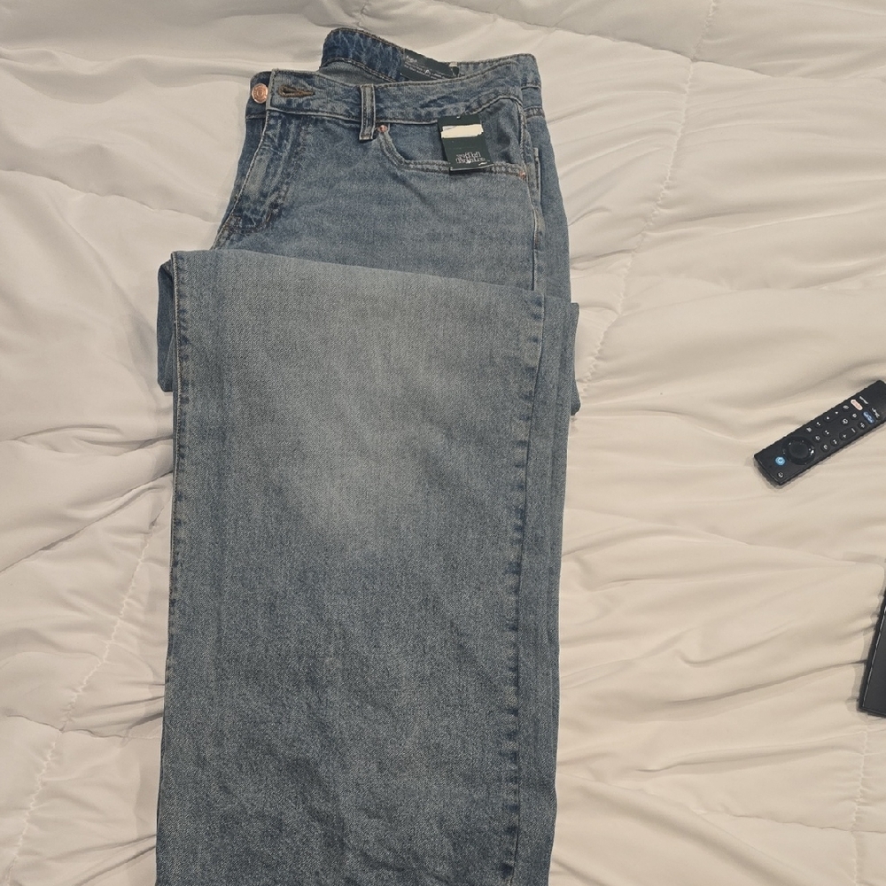 Wild Fable Men's Classic Denim Jeans